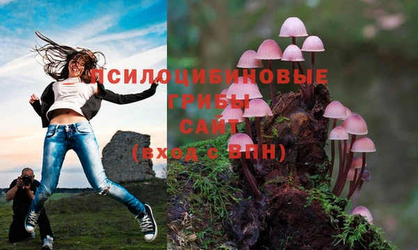 кокс Осташков