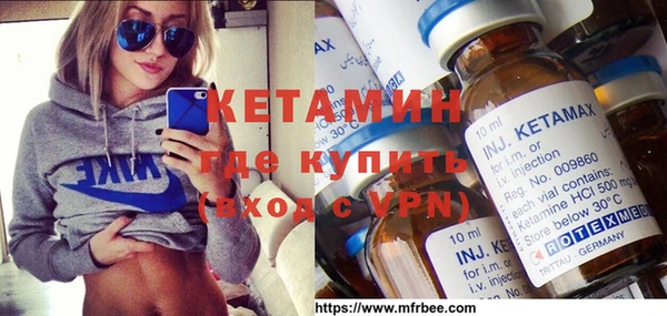 стаф Болотное