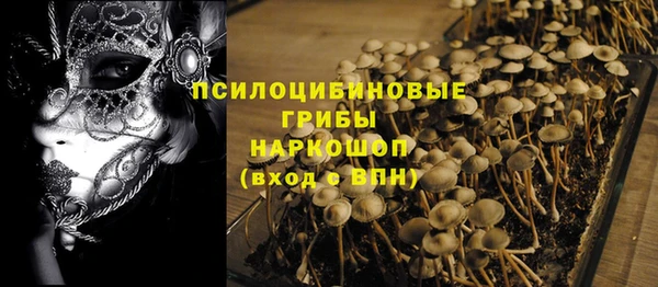 кокс Осташков