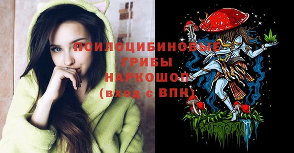 кокс Осташков