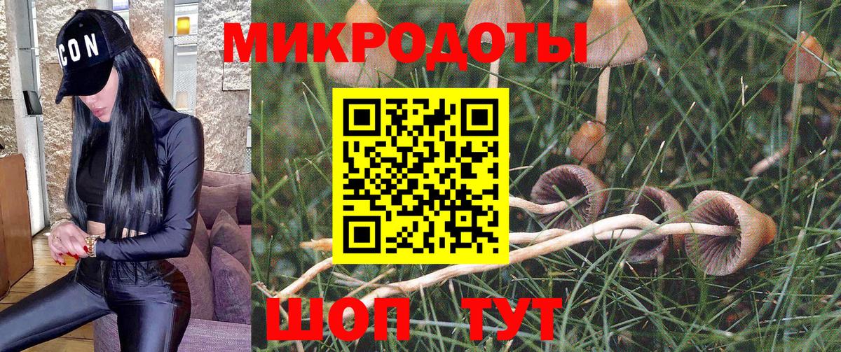 как найти закладки  Вход с VPN  Ейск  Псилоцибиновые грибы прущие грибы 