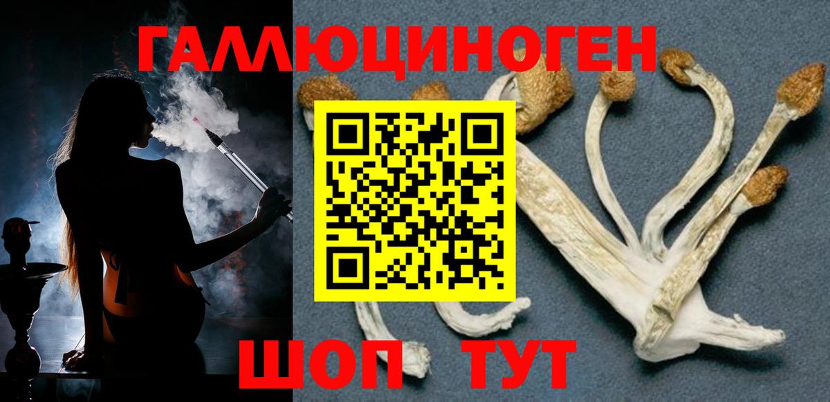 Галлюциногенные грибы мицелий Ейск